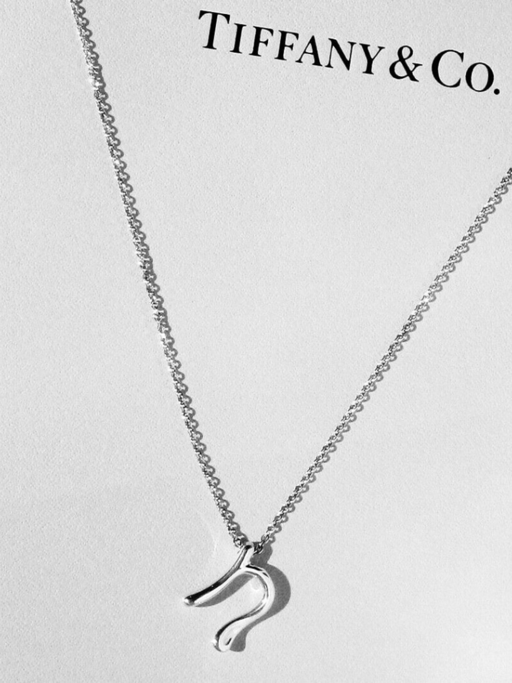 Tiffany & Co Peretti Sterling Silver Alphabet Initial Letter N Pendant Necklace